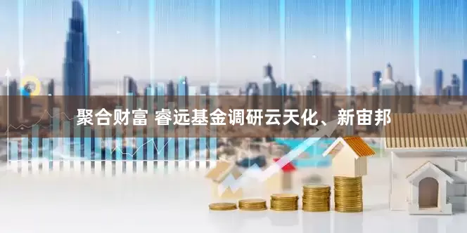 聚合财富 睿远基金调研云天化、新宙邦